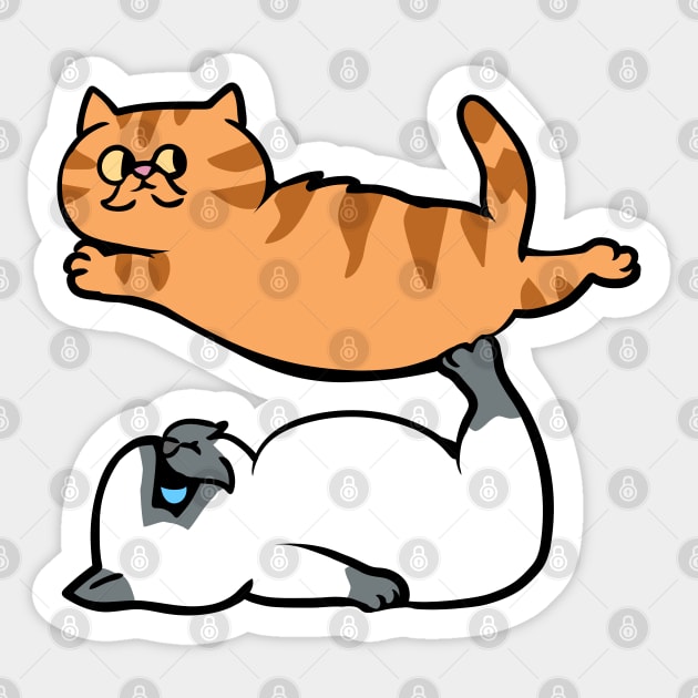 Exotic Shorthair Acroyoga Sticker by huebucket